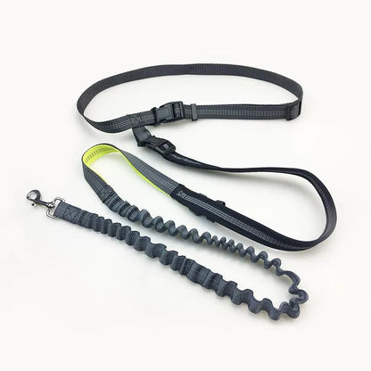 Pet Running Traction Rope Portable Waist Pack