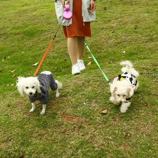 Two retractable dog leashes for small dogs 